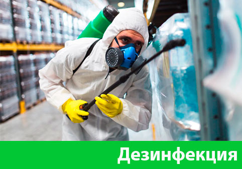 Дезинфекция в городе Рубцовск