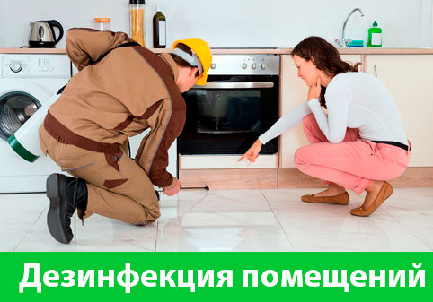 Дезинфекция офисов от коронавируса в городе Рубцовск