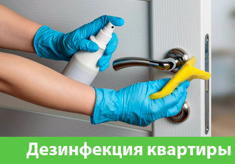 Дезинфекция квартиры в городе Рубцовск