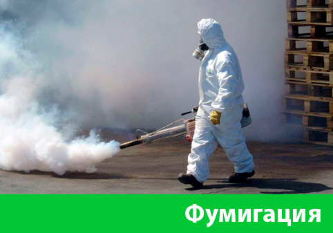 Фумигация в городе Рубцовск
