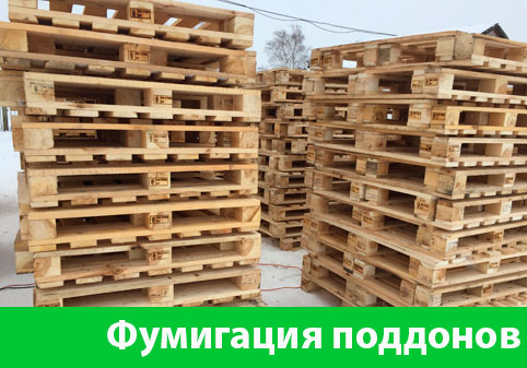 Фумигация поддонов в городе Рубцовск