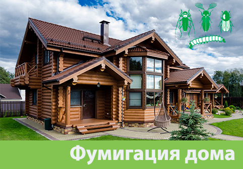 Преимущества обработки газом в городе Рубцовск