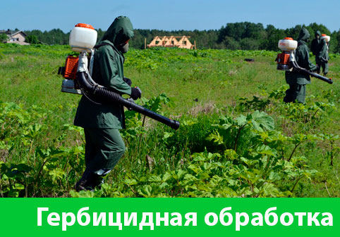 Гербицидная обработка в городе Рубцовск
