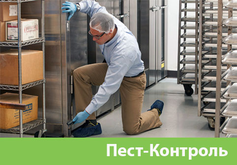 Пэст-Контроль в городе Рубцовск