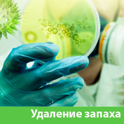 Удаление запахов в Рубцовске