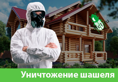 Уничтожение шашеля и личинок в Рубцовске
