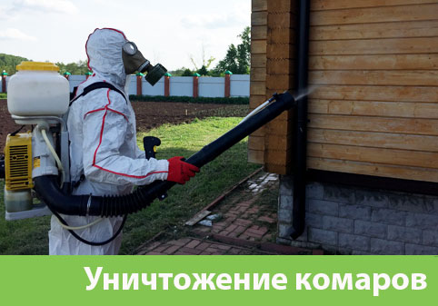 Уничтожение комаров в городе Рубцовск