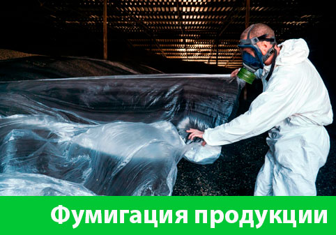 Фумигация продукции в городе Рубцовск